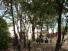 ab18-krabetopislandbeach1.jpg